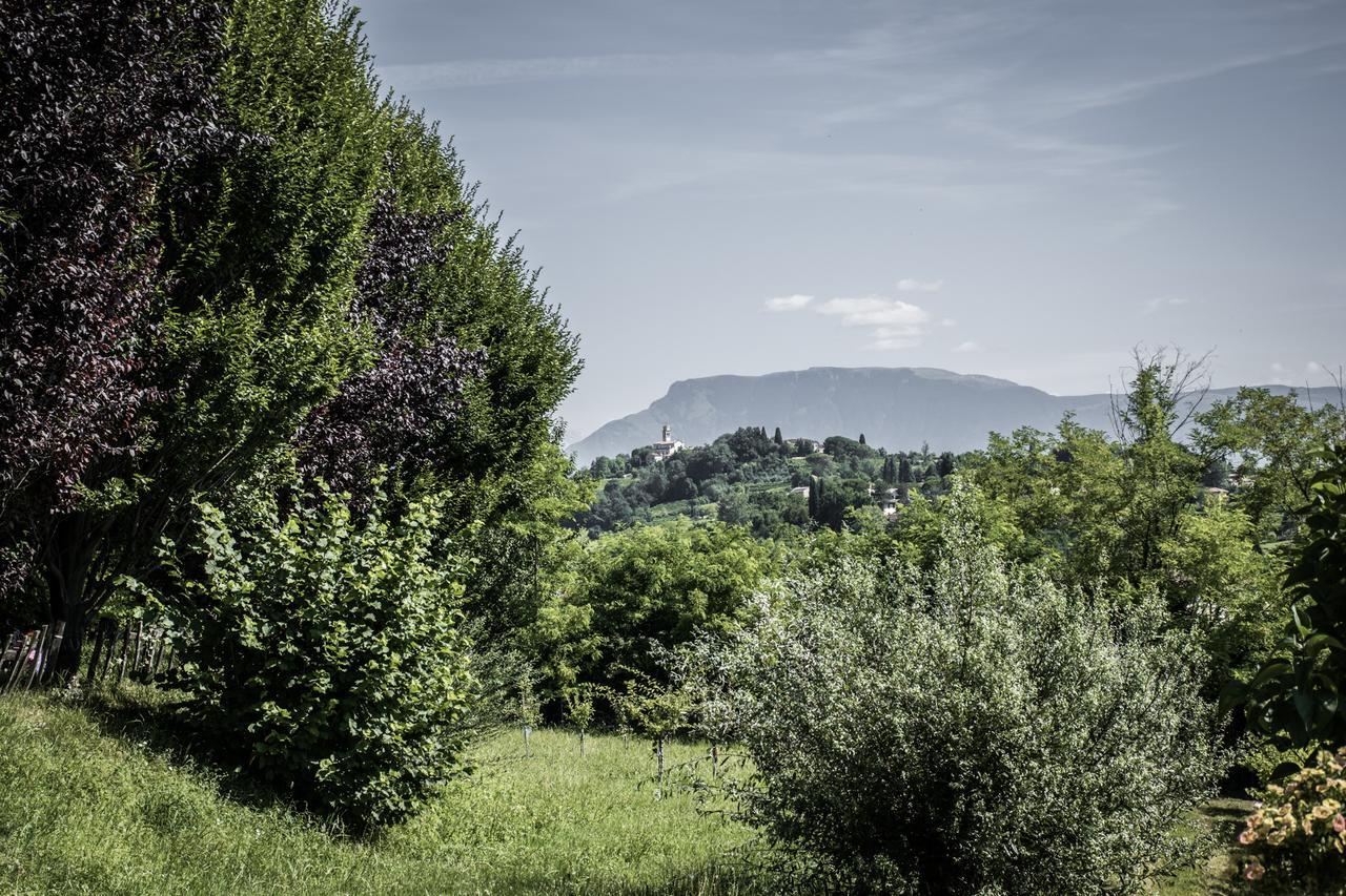 Bed and Breakfast Terre Boscaratto Susegana Zewnętrze zdjęcie